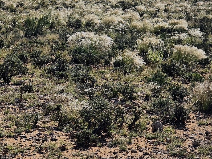 Commercial Property for Sale in Upington Rural Northern Cape